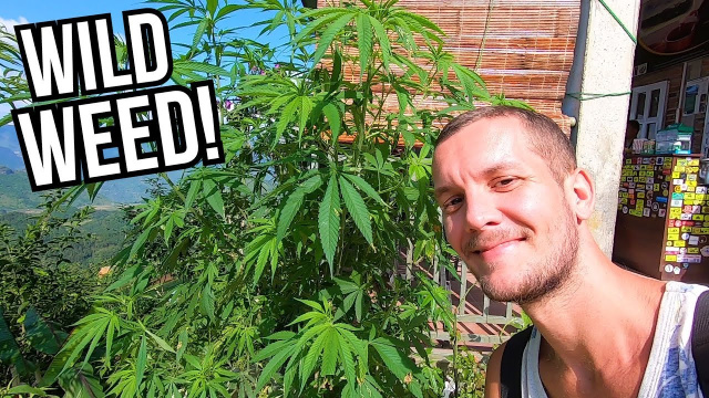 NORTHERN VIETNAM TRIP- HA GIANG 🇻🇳
