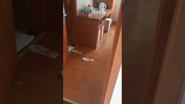 💫Нячанг Вьетнам💥 Отель Дендро 3*&Hotel Dendro 3* deluxe #нячанг #нячанг2024