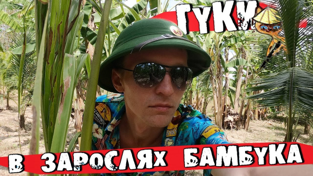 Где-то в зараслях бамбука! Напали голодные попугаи! Рисовый Рай ч.6 [Нячанг, Вьетнам 2019]