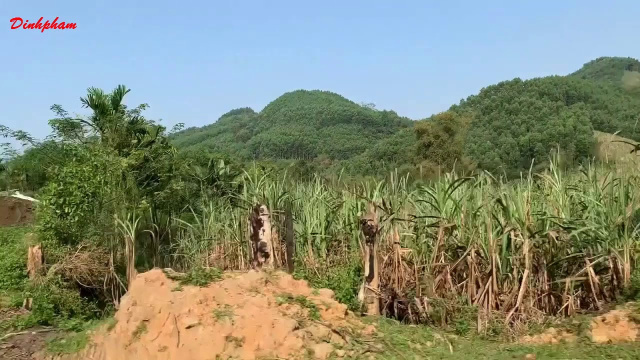 Đi Kontum bằng đường đ&egrave;o quanh co uốn lượn si&ecirc;u đẹp