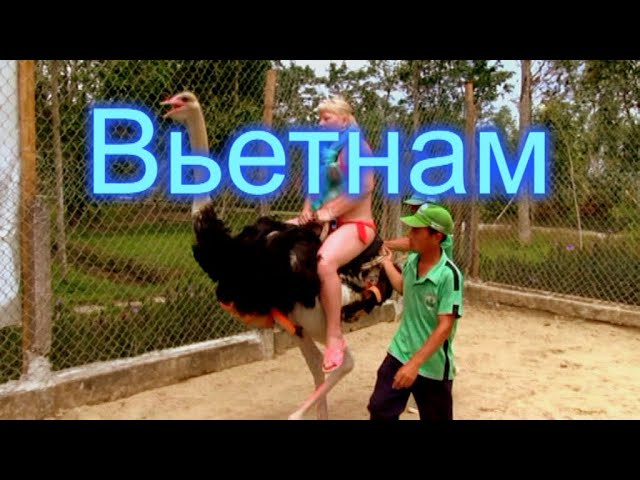 Вся правда о Вьетнаме.