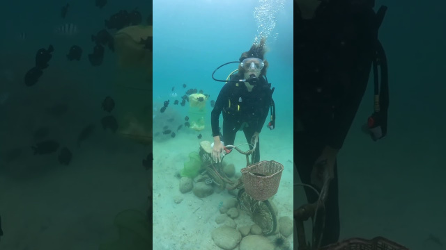 diving in NhaTrang