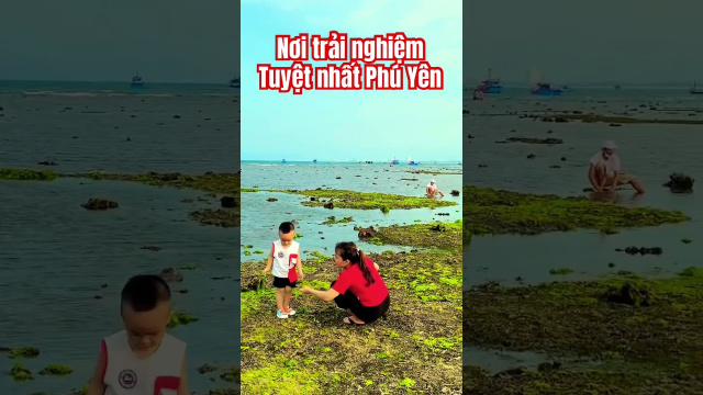 Nơi trải nghiệm đẹp nhất Ph&uacute; Y&ecirc;n #edmg&acirc;yghiện #tamtrang #edmcuchay #beachmusic #edmgaynghien