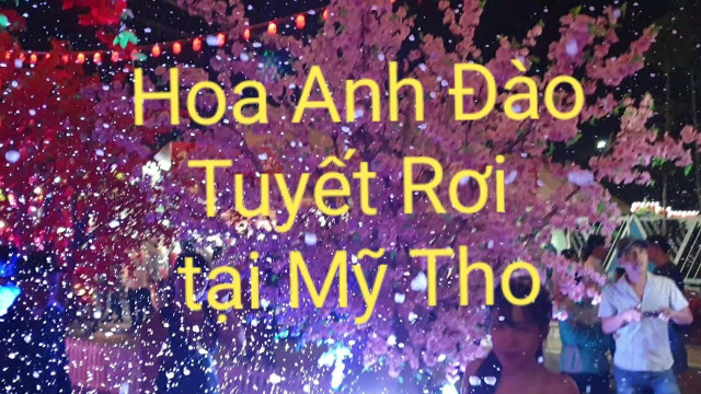 Hội Chợ Hoa Anh Đ&agrave;o - Tuyết Rơi tại Mỹ Tho | Hội Chợ Việt Nam - Th&aacute;i Lan tại TP Mỹ Tho