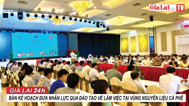 Gia Lai 24h: B&agrave;n kế hoạch đưa nh&acirc;n lực qua đ&agrave;o tạo về l&agrave;m việc tại v&ugrave;ng nguy&ecirc;n liệu c&agrave; ph&ecirc;