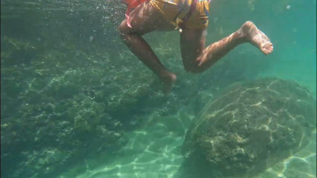 Khoai ngắm san h&ocirc;