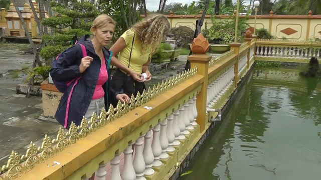 Vietnam, My Tho - Vinh Trang Pagoda (2018)