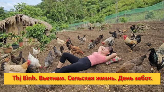 Thị B&igrave;nh. Вьетнам. Сельская жизнь. День забот.