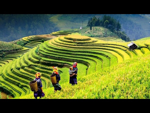 Exploring Sapa. North Vietnam, Mountains, traveling by motorbike, Yao people village. ASMR. 4K.
