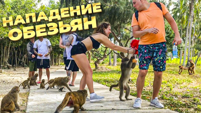 Остров обезьян в Нячанге, Остров орхидей в Нячанге | Экскурсия на Северные острова в Нячанге