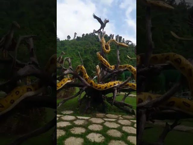 В парке Янгбей.