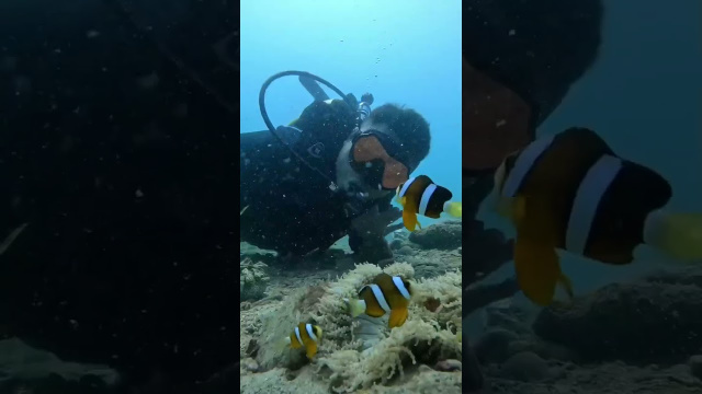 Nha Trang Scuba Diving