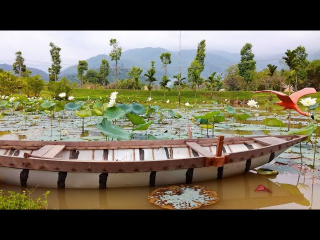 Yang Bay Eco Park (Эко-парк Янг Бей, Нячанг)