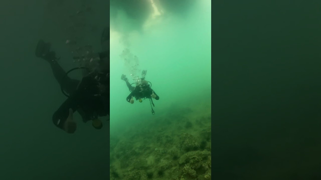 Дайвинг в Нячанге #scubadiving #underwater #travel