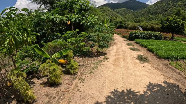 Морская прогулка к островам в Нячанге
