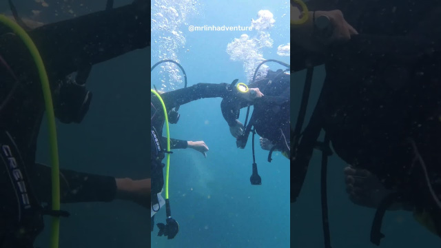 🐠 Scuba Diving Whale Island &ndash; Nha Trang&rsquo;s Hidden Underwater Paradise #diving