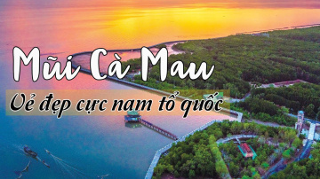 C&agrave; Mau - V&ugrave;ng đất cực nam HOANG SƠ ĐẦY B&Iacute; ẨN