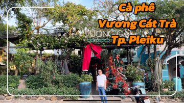 Review: C&agrave; ph&ecirc; Vương C&aacute;t Tr&agrave; I Thống Nhất I Tp. Pleiku I Gia Lai I Việt Nam I Thang Vu