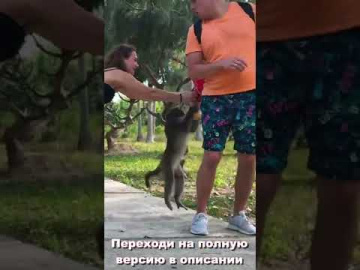 Остров обезьян в Нячанге. Полная версия в описании #shorts