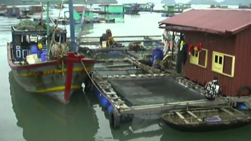 Ha Long Bay, Cat Ba Island, Vietnam Travel Video Guide