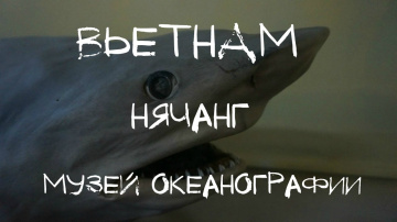 Вьетнам. Нячанг. Музей Океанографии. Подводные съемки.