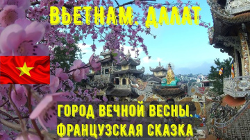 Vietnam. Далат. Водопады, кофе Лювак, парк природы, Crazy House, буддийский храм.
