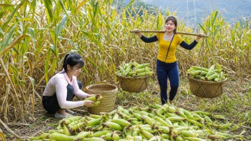 Сбор урожая клейкой кукурузы и других овощей и фруктов. Продажа на сельском рынке. Нхат. Вьетнам