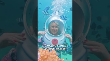 Вот что скрывается под водой! Подводный мир Нячанга 🐠🌊