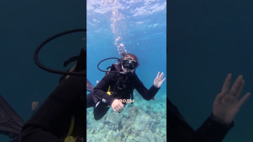 Можно отлично подайвить в Нячанге 🤿🤙#scubadiving #дайвинг