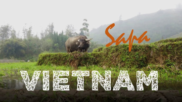 Vietnam Countryside &bull; SAPA Rice fields & terraces &bull;  Lao Cai & Ta Van Village