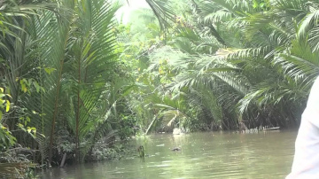 The Backwaters of Ben Tre (720p)