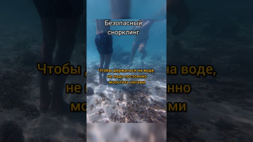 Как вести себя на снорклинге. Советы от дайвинг инструктора #дайвинг #снорклинг #таиланд