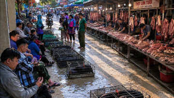 Vietnam Food Market #05 | Fresh Pork, Street Food & Highland Market Culture | Bao Nhai, Lao Cai