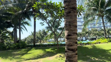 Вьетнам, Нячанг 🌴 The Empyrean Cam Ranh | наш отдых: массаж, еда, территория