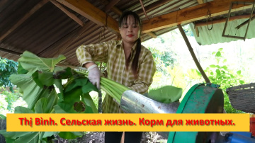 Thị B&igrave;nh. Вьетнам. Сельская жизнь.Корм для животных.