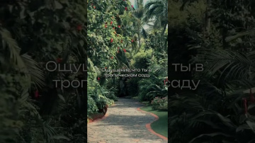 Если отель 4*, то только такой