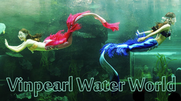 Океанариум &laquo;Подводный мир Винперл&raquo; Vinpearl Water World