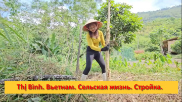 Thị B&igrave;nh. Вьетнам. Сельская жизнь. Стройка.