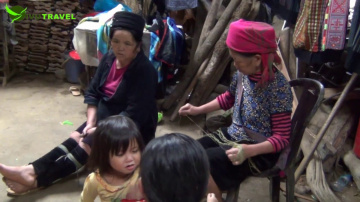Hanoi - Hoa Lu - Sapa - Halong Bay 7 days tour
