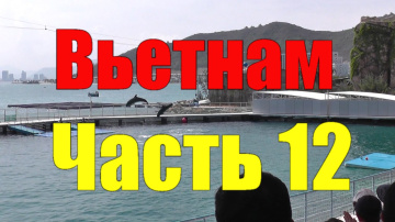 Вьетнам. Нячанг. №12. Шоу дельфинов. Винперл - Остров развлечений 3