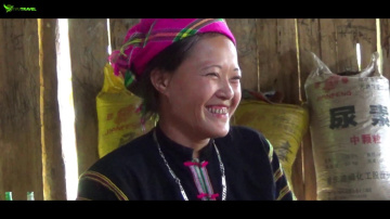 Is This the Most Beautiful Route in Vietnam?