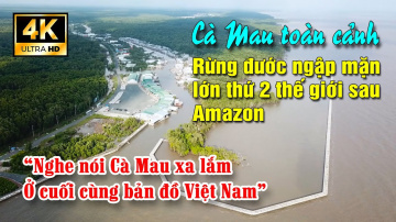 To&agrave;n cảnh Mũi C&agrave; Mau. Rừng Đước ngập mặn lớn thứ 2 thế giới sau Amazon