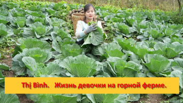 Thị B&igrave;nh. Вьетнам.  Жизнь девочки на горной ферме  мирная и чудесная.
