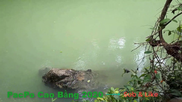 Du lịch Pác bó Cao Bằng 2020 - Cảnh tuy&ecirc;̣t đẹp