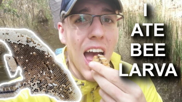 Rural Ca Mau - Harvesting Vietnamese Honey