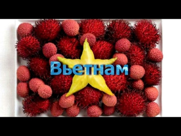 Вьетнам. Нья чанг - русский курорт. Горный Далат, остров Винпёрл, остров Хон Там