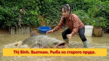 Thị B&igrave;nh. Вьетнам. Сельская жизнь.Рыба из старого пруда.