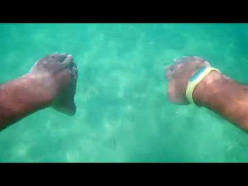Вьетнам Viet Nam - Хон Там H&ograve;n Tằm - Под водой... under water