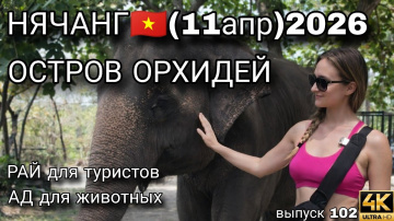 ОСТРОВ ОРХИДЕЙ 😍 | Нячанг 2026 &mdash; стоит ли ехать?