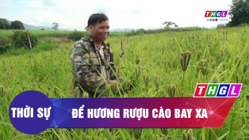 Để hương rượu c&agrave;o bay xa